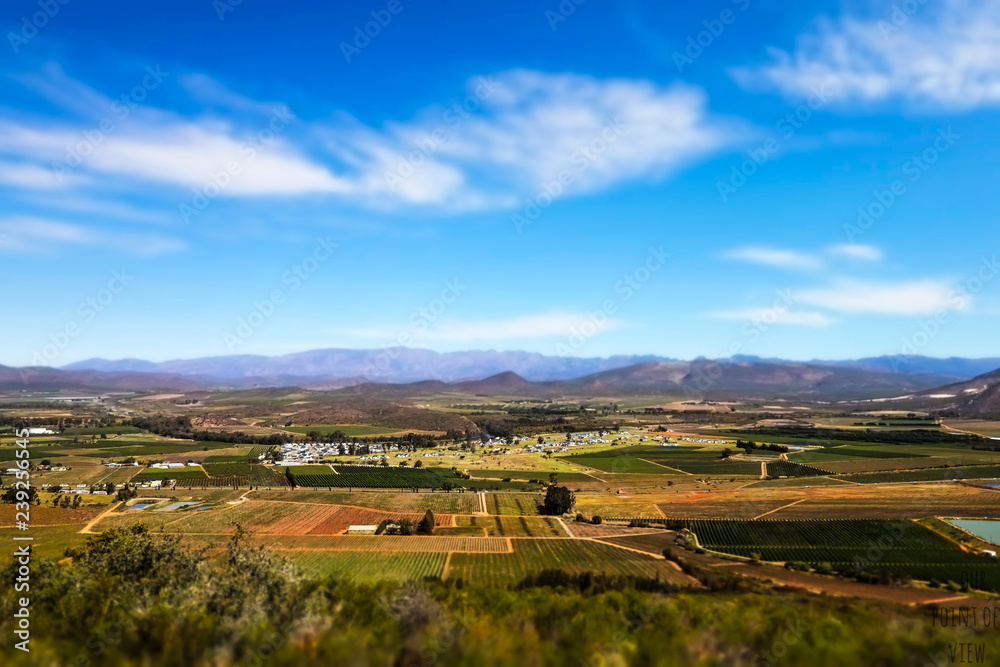 Cape Wine Lands Farm View Robertson