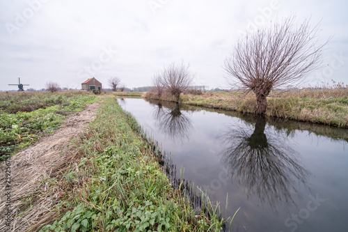 along the pollard willows whit Zandwijkse Widmill in Uppel photo