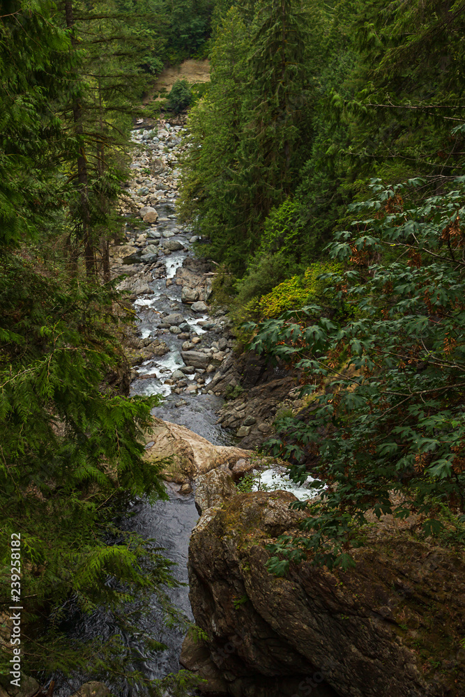 narrow river runs through pacific northwest forest narrow river runs through pacific northwest forest