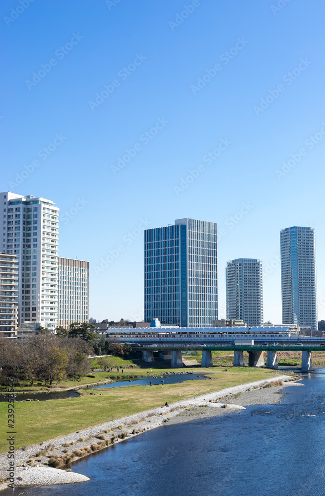 Fototapeta premium 多摩川と高層ビルのある風景