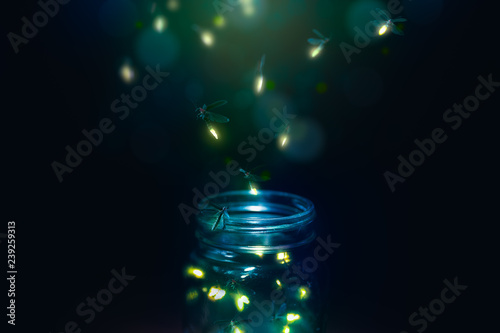 fireflies in a jar on a dark background photo