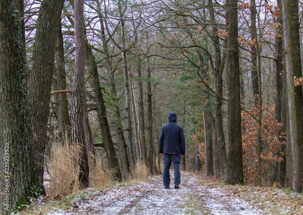 Young man standing on winter forest path in jacket