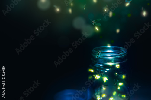 fireflies in a jar on a dark background