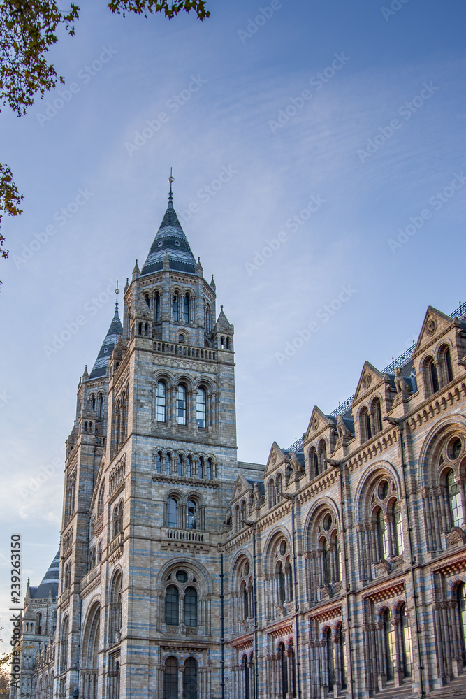 LONDON, UNITED KINGDOM - NOV 14, 2018: Portrait, Side view of Natural History Museum. LONDON, UNITED KINGDOM - NOV 14, 2018: Portrait, Side view of Natural History Museum.