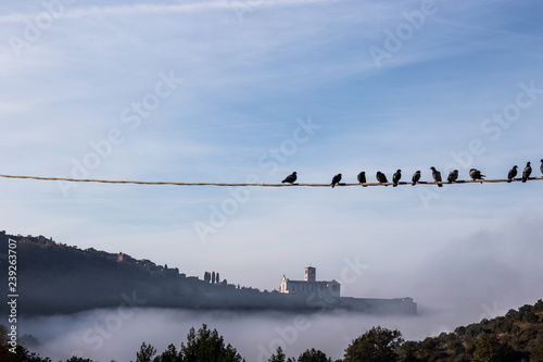 A view of a silhouette of St.Francis church in Assisi iabove a sea of fog,beneath a blue sky with clouds and with birds on a power line in the foreground photo