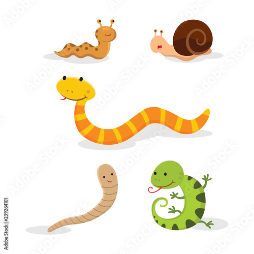 Set of animals isolated on white background © graphic-line