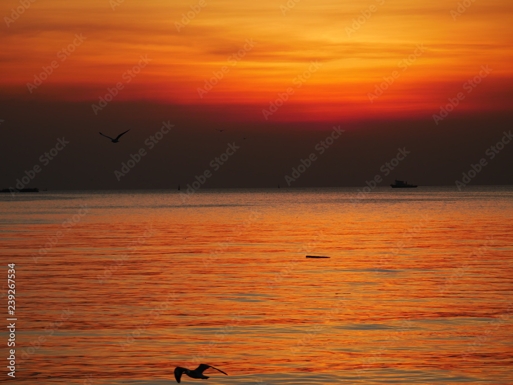 Fototapeta premium Wonderful picturesque places , many seagulls and good view at Bangpu Recreation Center ,Samut Prakan THAILAND.