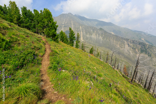 Mountains in Buryatiya region in Siberia in Russia  photo