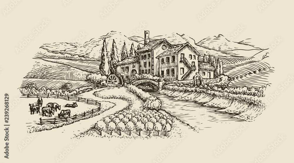 Farm landscape, village sketch. Agriculture, hand drawn vintage vector illustration