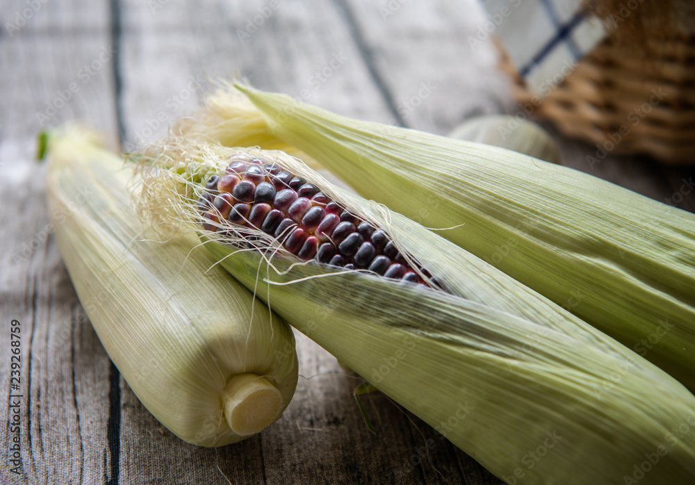 Fototapeta premium Mature fresh corn