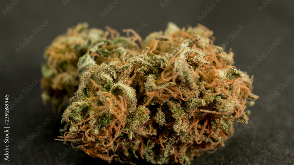 cannabis bud pot medicinal close up macro