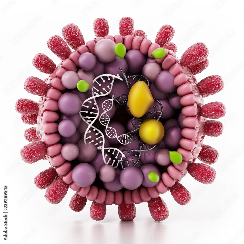 Structural detail of Hepatitis B virus isolated on white. 3D illustration - obrazy, fototapety, plakaty 