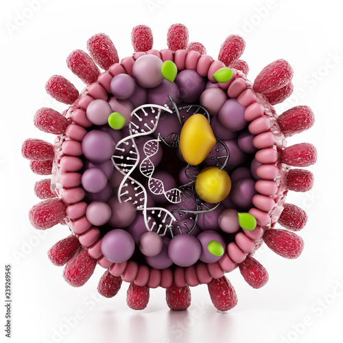 Structural detail of Hepatitis B virus isolated on white. 3D illustration photo