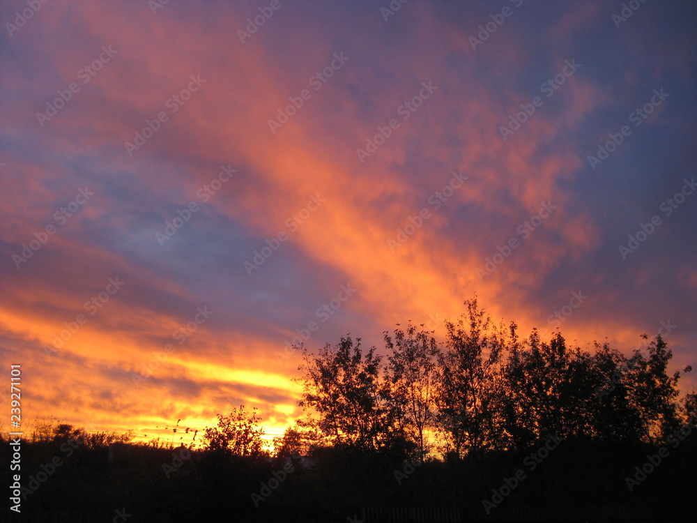 Sunset in the evening. The clouds are colored orange. The sky on the horizon lit up with bright light.Through the dark silhouettes of the trees still ablaze with the passing day.