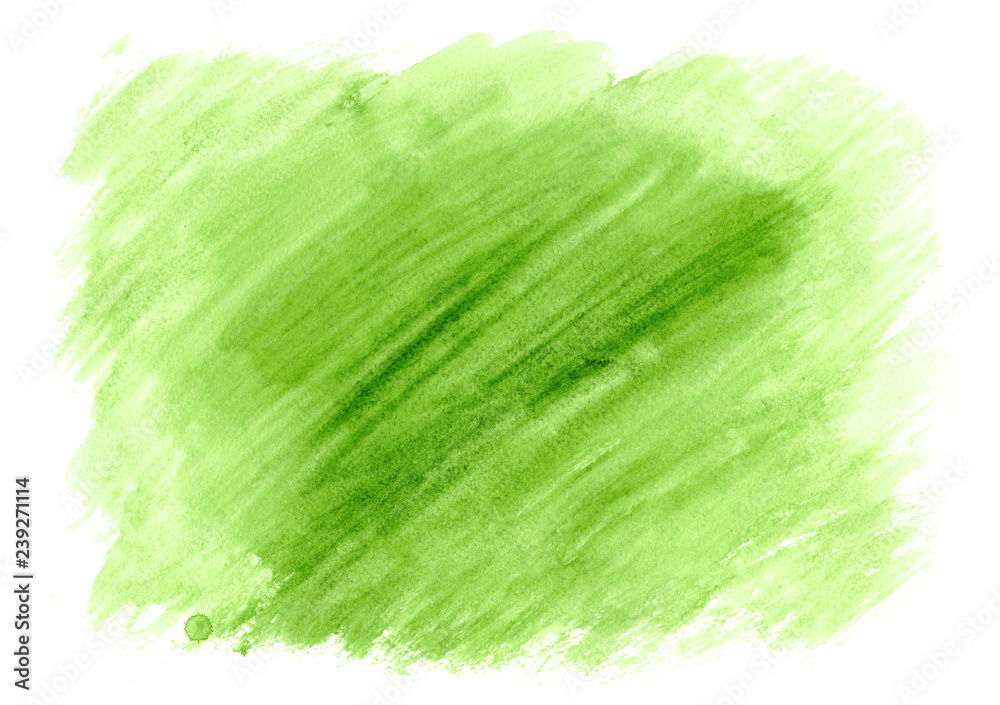 Green watercolor illustration for business cards. Hand drawn design element.