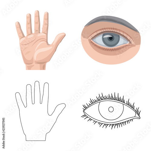 Isolated object of human and part icon. Set of human and woman stock symbol for web.