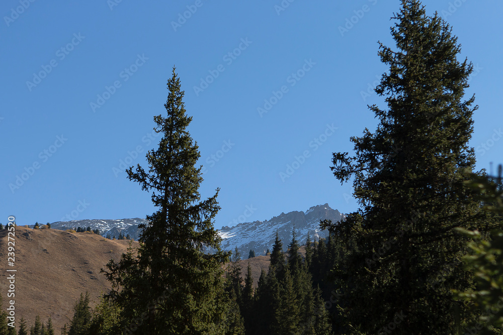 Tien Shan mountains in Almaty