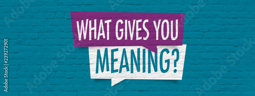 What gives you meaning ?