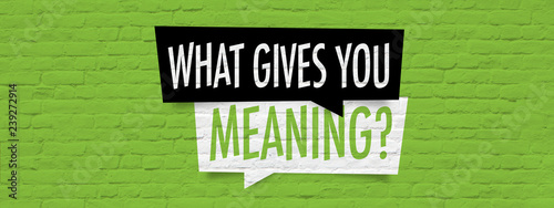 Canvas Print What gives you meaning ?