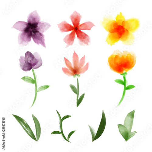 watercolor floral flower ornament art design