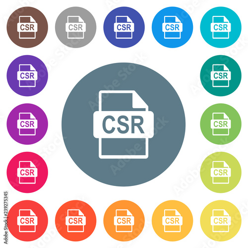 Sign request file of SSL certification flat white icons on round color backgrounds