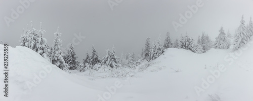 Panorama of heavy snow on top of the mountain. Cold winter day with heavy fog and snow © bonciutoma