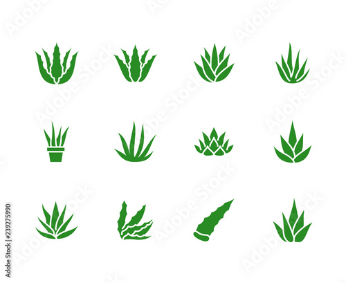 Aloe vera flat glyph icons. Succulent, tropical plant vector illustrations, signs for organic food, cosmetic. Solid silhouette pixel perfect 64x64 photo