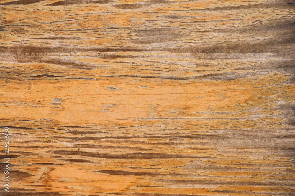 Wood texture and background