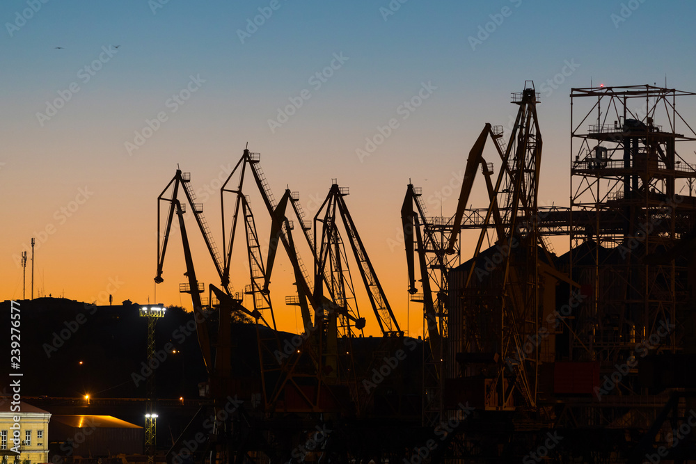 Cargo port cranes on a background of sunset sky