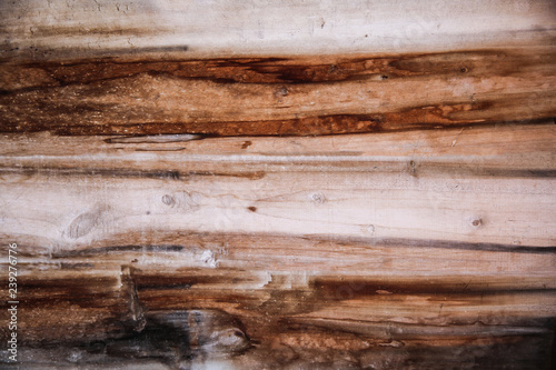 Wood texture and background