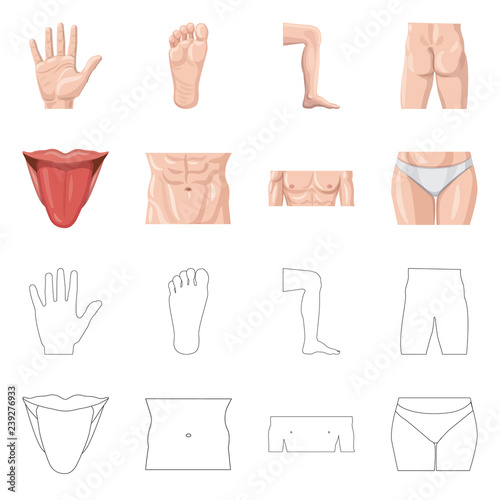 Vector design of human and part logo. Collection of human and woman stock vector illustration.