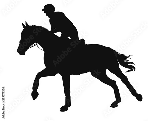 Equestrian event. Silhouette of a rider cantering on a horse.