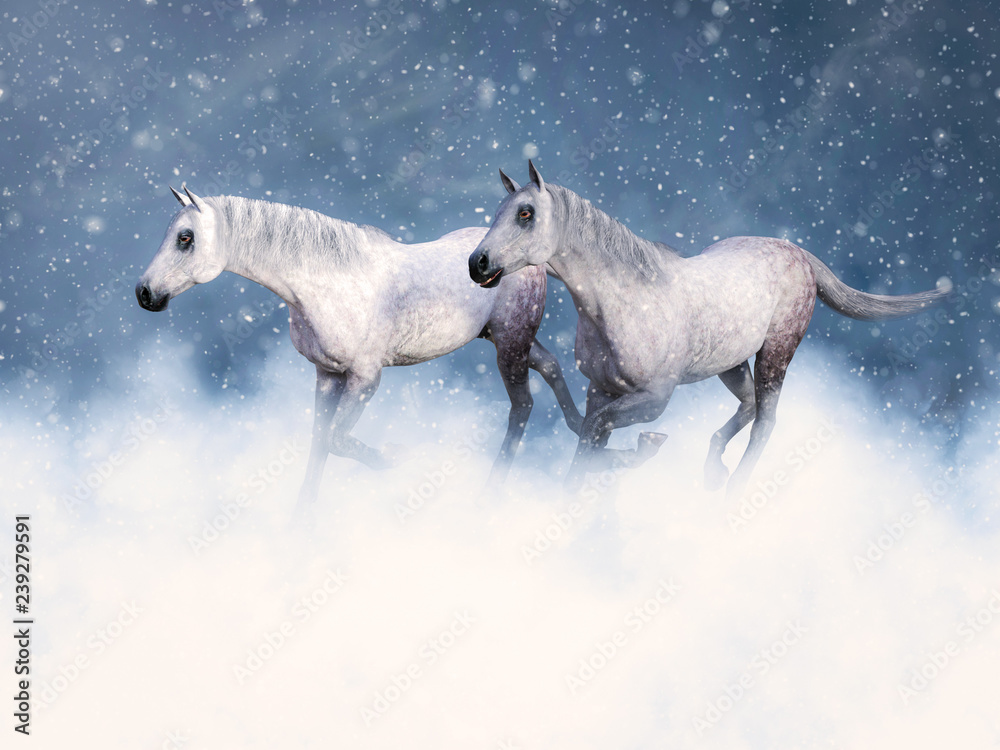 3D rendering of two white horses running in snow.