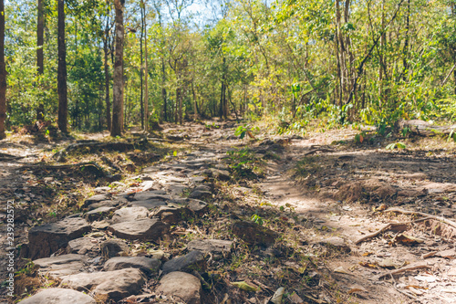 Road go to the top hills at PhuKradueng National Park, Loei. photo