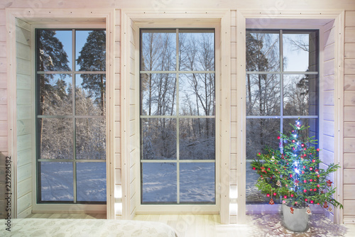 Winter landscape in white window. Home and garden New Year concept.