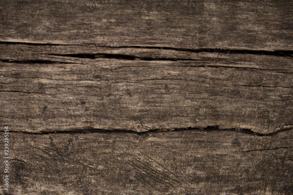 Obraz premium Old Wood Texture