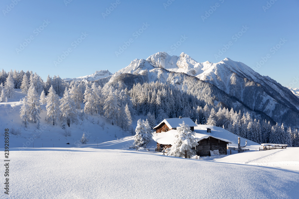 Beautiful view of traditional rustic wooden mountain chalet in the Alps