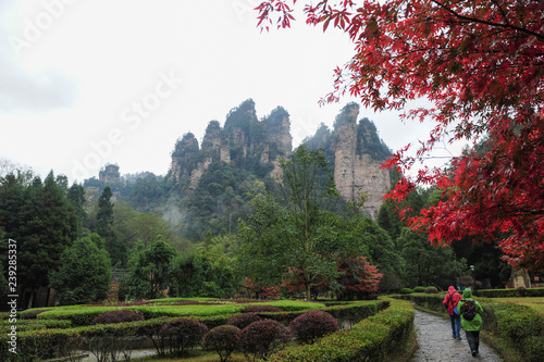 The road in the park in the mountains Avatar