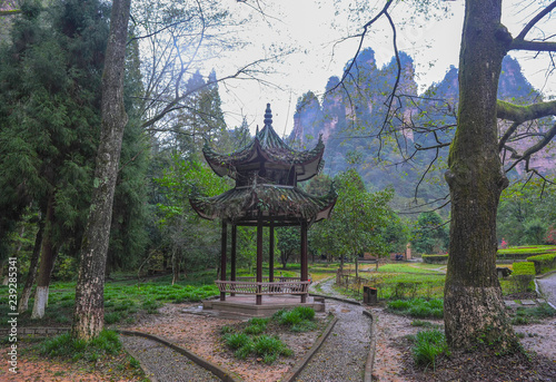 Arbor in the mountains Avatar