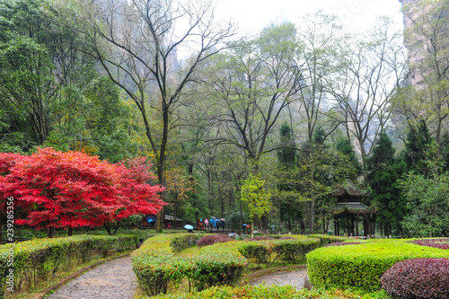  Sad v gorakh Avatar 18/5000 Garden in the mountains Avatar