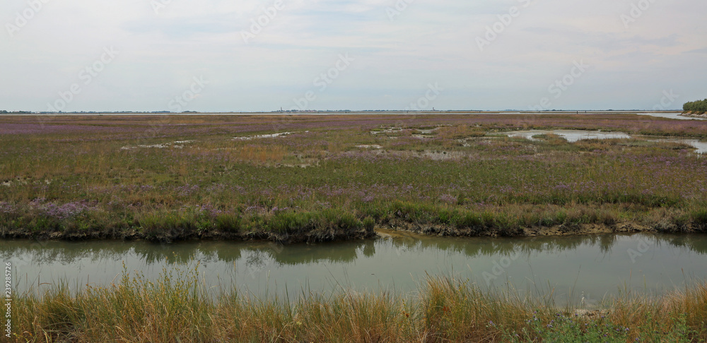 wild environment with marshes in the Venetian lagoon near Venice wild environment with marshes in the Venetian lagoon near Venice