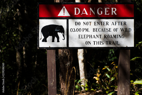 Warning beware of the elephants in the forest.