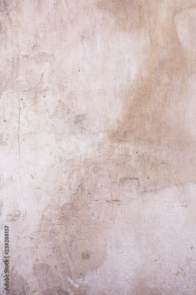 Fototapeta premium Stone and wall texture