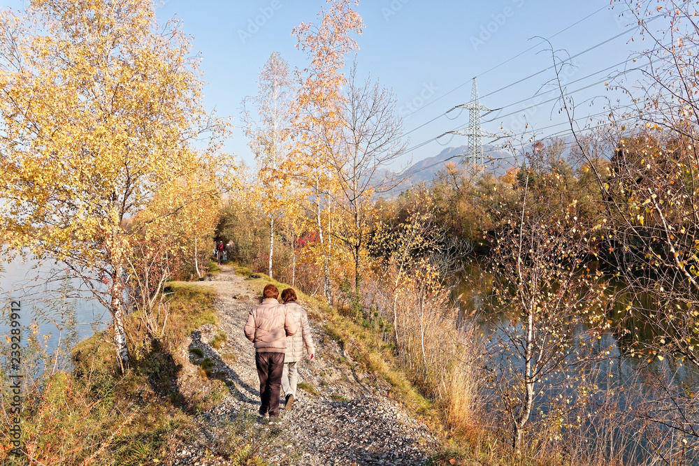 Locals hiking at autumnal banks of Old Rhine Locals hiking at autumnal banks of Old Rhine