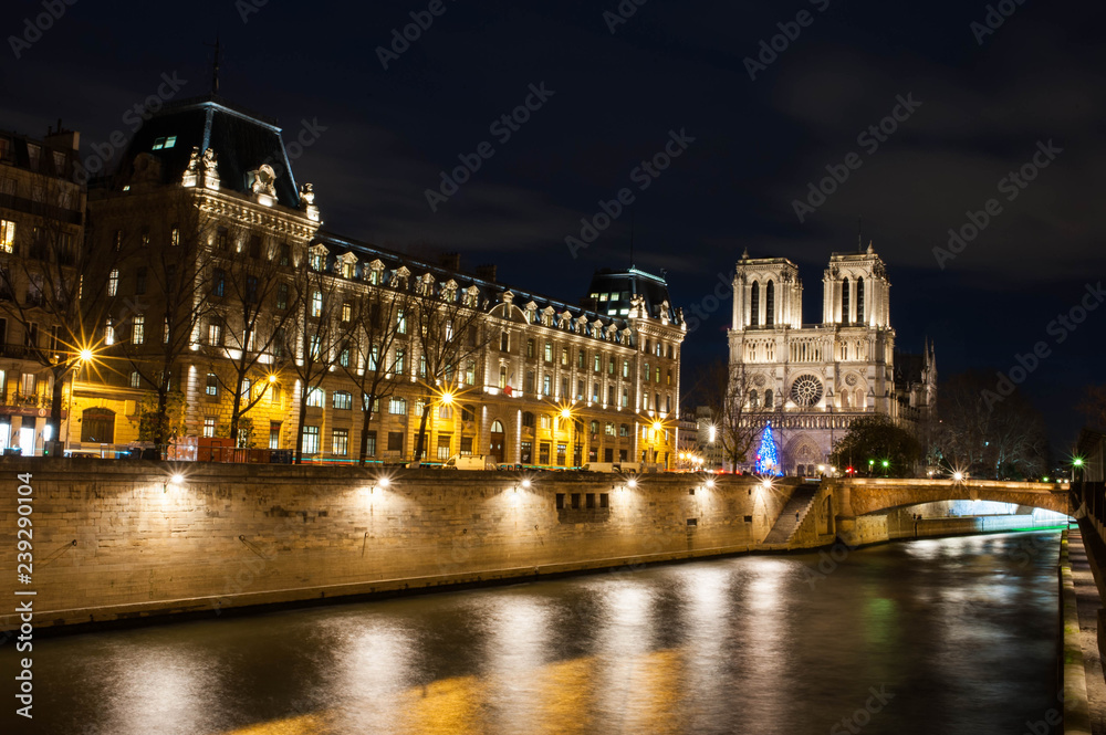 Fototapeta premium Notre Dame Paris Seine