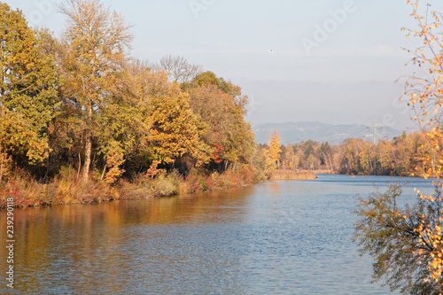 Local and passing aircraft at autumnal banks of Old Rhine