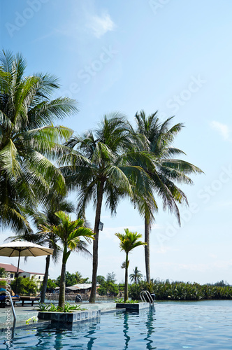 Palm trees at swimming pool 