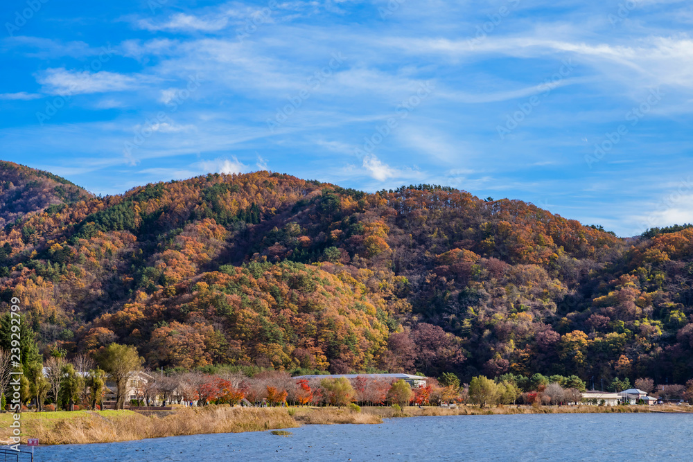 秋の河口湖北岸の風景