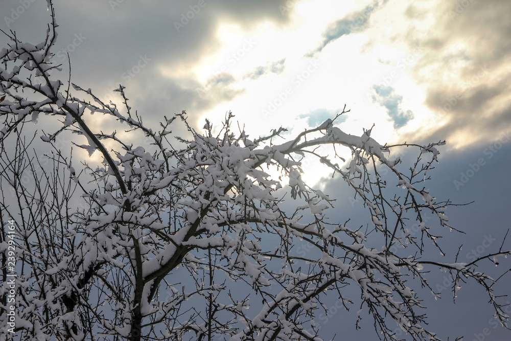 Rural snowy village scene. Countryside detail in a winter. Rural snowy village scene. Countryside detail in a winter.