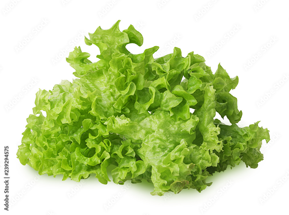 Green oak lettuce